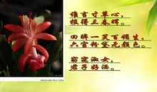 2018赞美中国的名言_300字