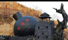 观看《地雷战》_250字