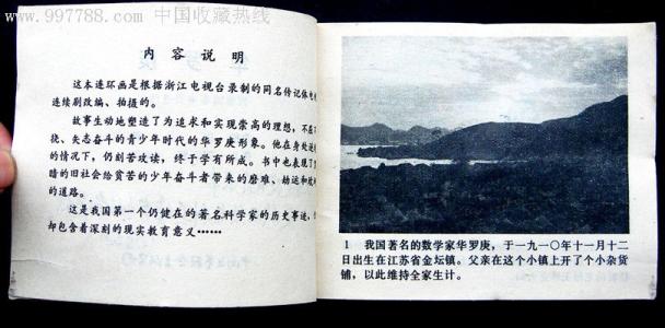著名数学家故事：数学家王振义_650字