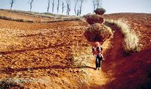 带着理想出发_450字