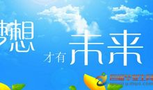 未来的理想_400字