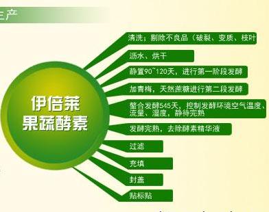 环境酶观察笔记_500字