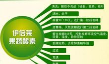 环保酵素观察记_500字