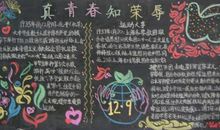 为理想而战_750字