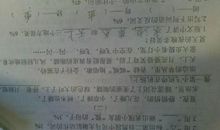 关于动物的作文：鱼儿也有泪，另类也有正面_1500字