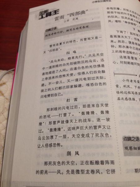 风光构图：风筝之旅_600字
