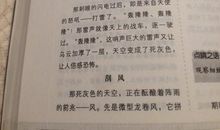 写景作文：风筝的远行_600字