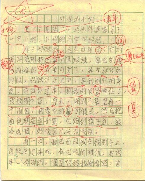 三年级作文：可爱的puppy_450个单词