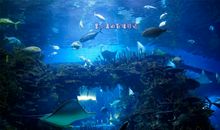 北京旅游记之海底世界_550字