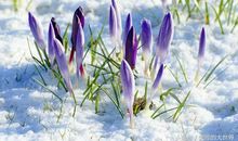 那一抹坚强的红_600字