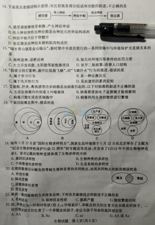 2008年山东省高中升学考试全场作文欣赏-我依然在世_800字