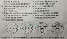 2008年山东中考满分作文赏析——我依然在人间_800字