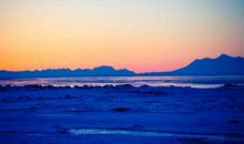 相遇旅途的开始_650字