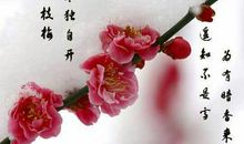 梅花·回忆_600字