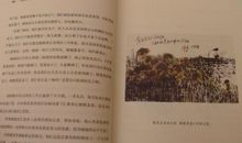 经典好段好句好词：狂人日记好段_2000字