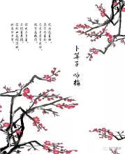 骄傲的梅花_650字