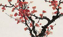 家乡的梅花_700字