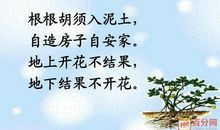落花生_800字