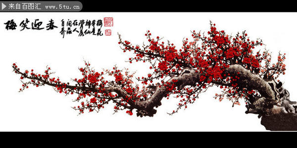 梅花赞美_650字