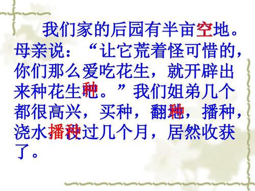 关于阅读《花生》的思考