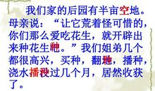 读《落花生》有感