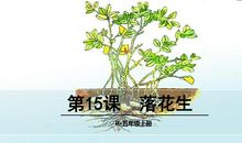 由落花生想到的_650字