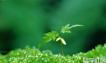 成长，须得考验_600字