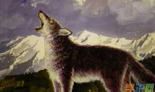 《狼王梦》读后感_350字