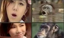 来自猩猩的你（五）_500字