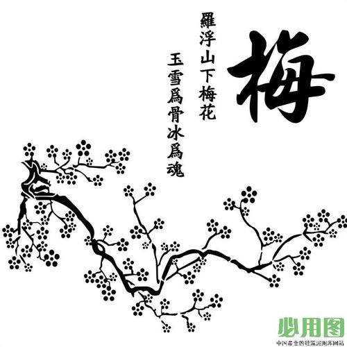 梅花和我的经验_750字