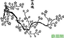 梅花和我的经历_750字