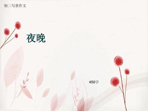 Night_450字