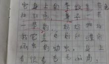 暑假日记锦集300篇_20字