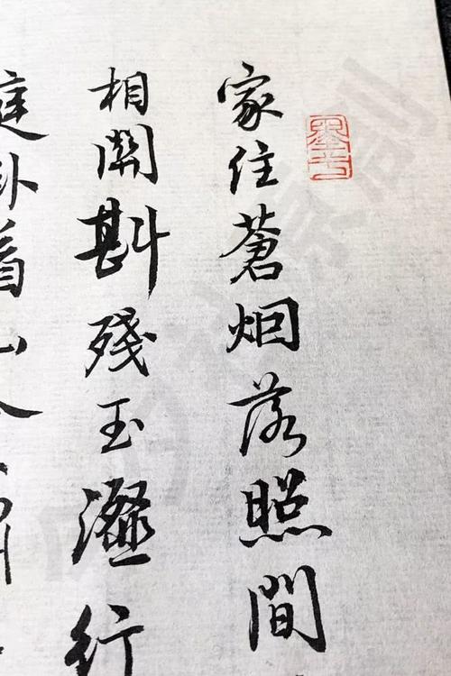 陆游日记_900字