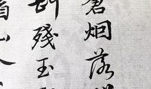 陆游日记_900字