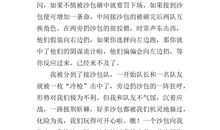 【微作文】打沙包_200字