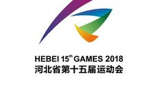 与众不同的运动会_800字