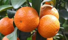 奔跑吧，800米！_1200字