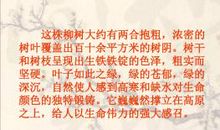 三年级读后感：青海高原一株柳_500字