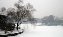 伊嘉的雪夜_450字