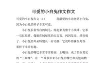 我的小白兔_400字