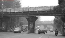 红旗的记忆_550字