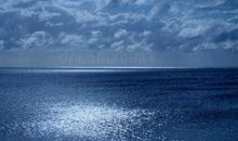 海深蓝，非鱼愿_3000字