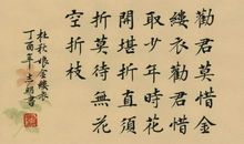 花堪开时直须开_750字