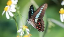 今天的收获_500字