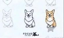 关于动物的作文：小狗波比真不简单_1200字