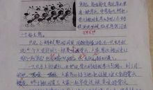 蚂蚁的秘密_450字