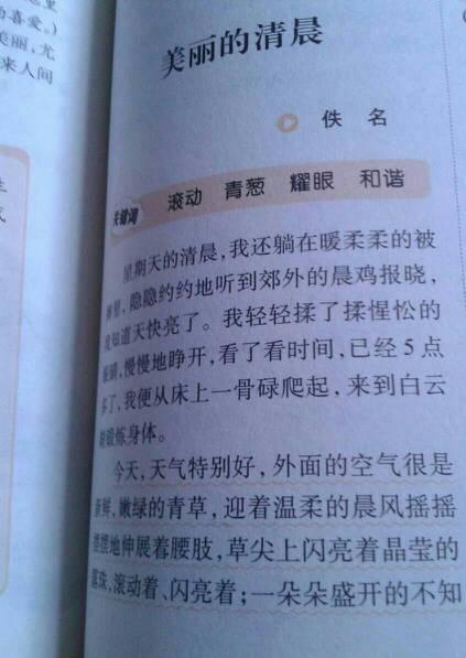 清晨_300字
