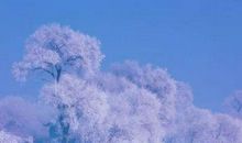 家的冰冷，他的冰冷(八）_400字