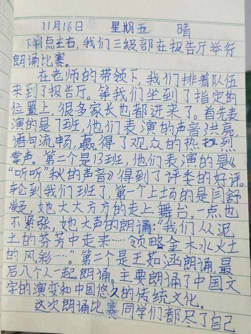 日记（11）_500字